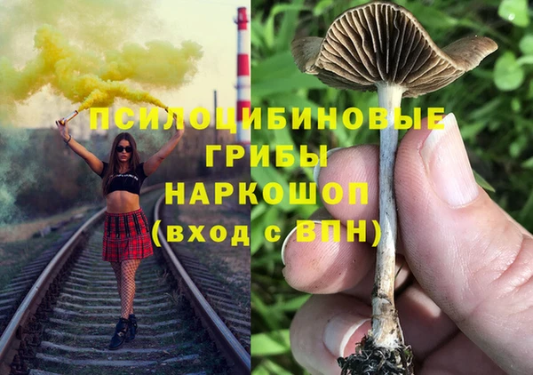 ECSTASY Аркадак
