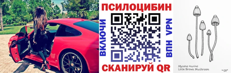 купить наркоту  Свободный  Псилоцибиновые грибы мицелий 